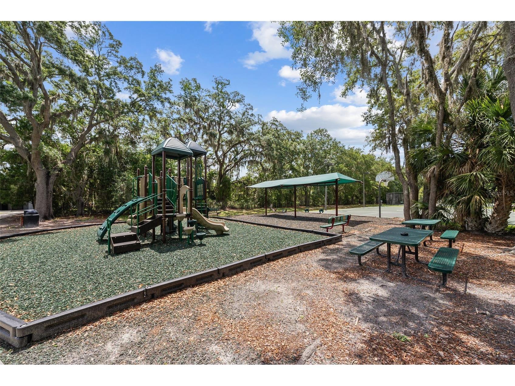 1536 Abyss Drive Odessa FL 33556 TB8513774 image57