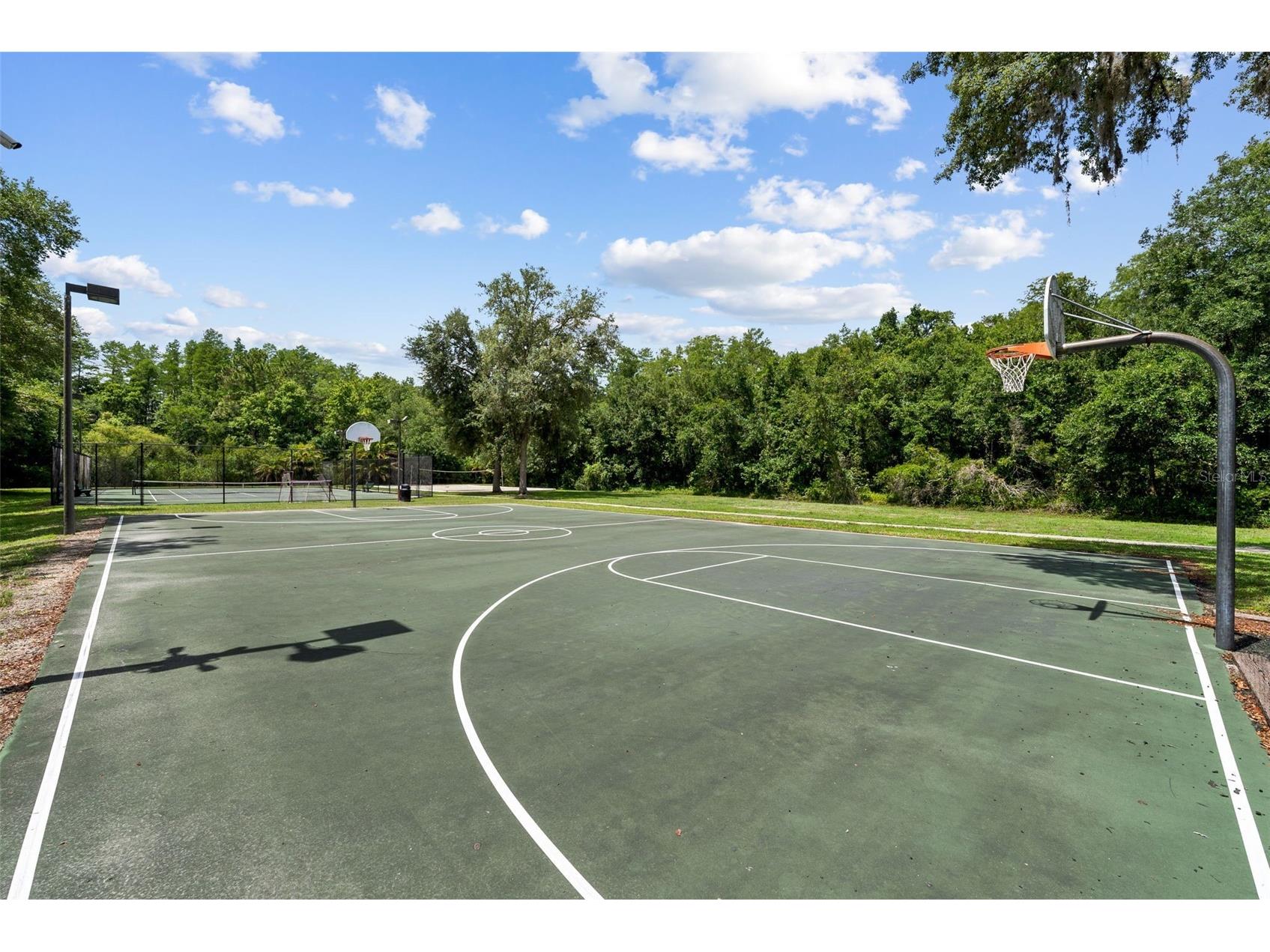 1536 Abyss Drive Odessa FL 33556 TB8513774 image58