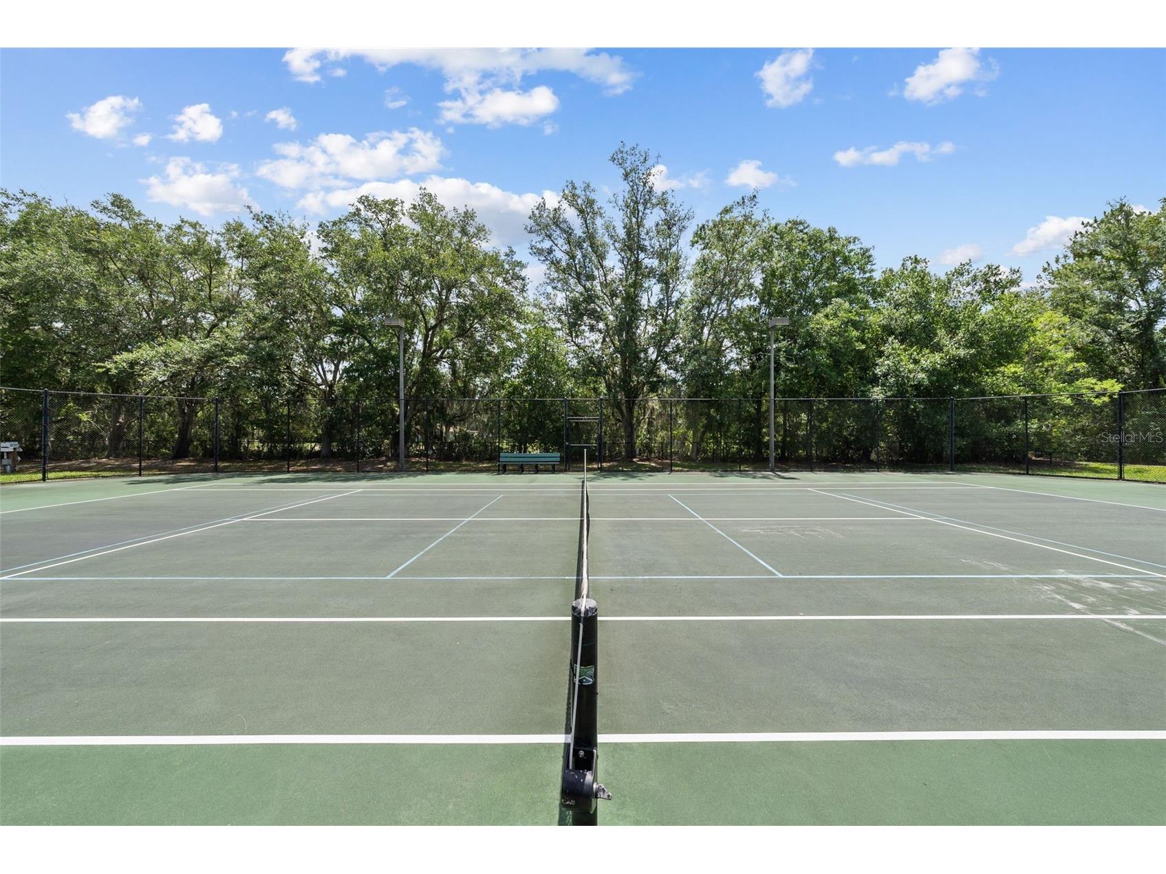 1536 Abyss Drive Odessa FL 33556 TB8513774 image60