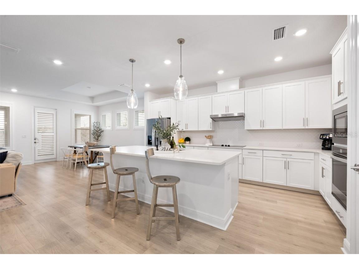 1536 Gopher Loop Tarpon Springs FL 34689 TB8428381 image2