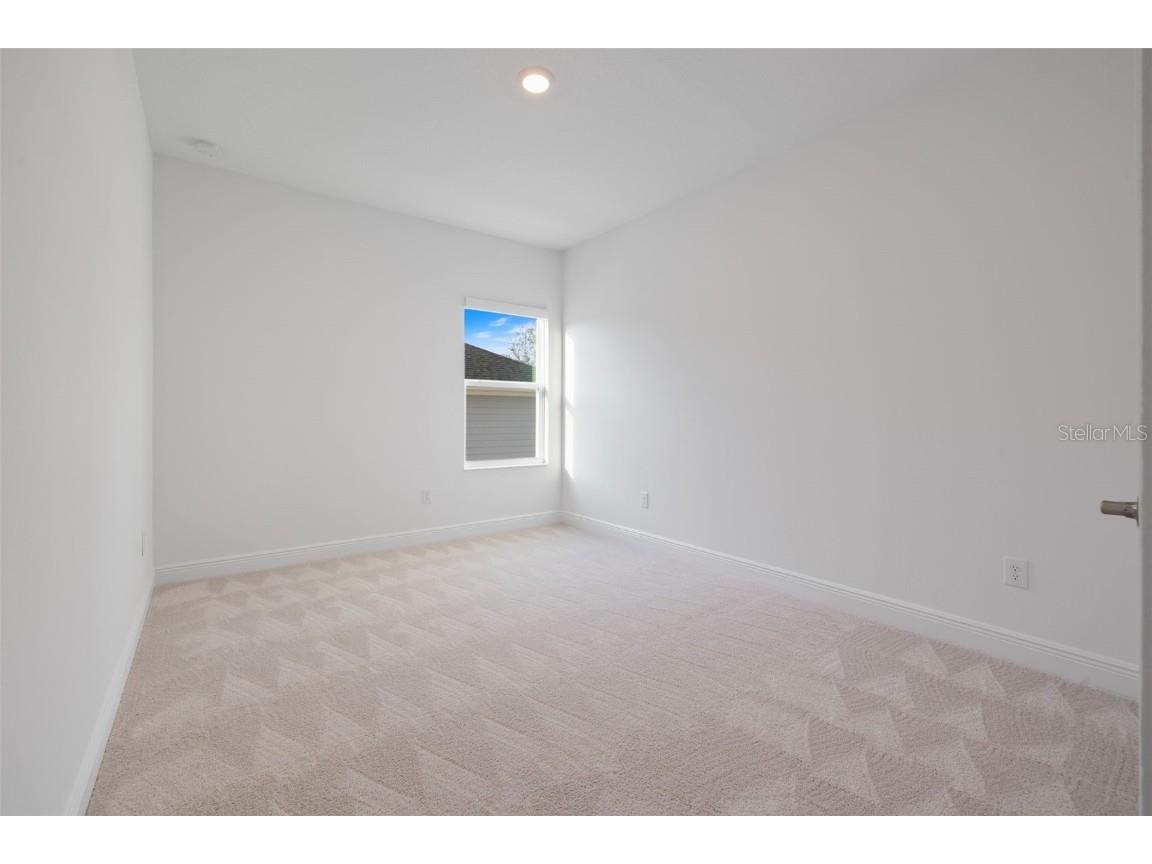 1536 Gopher Loop Tarpon Springs FL 34689 TB8428381 image21