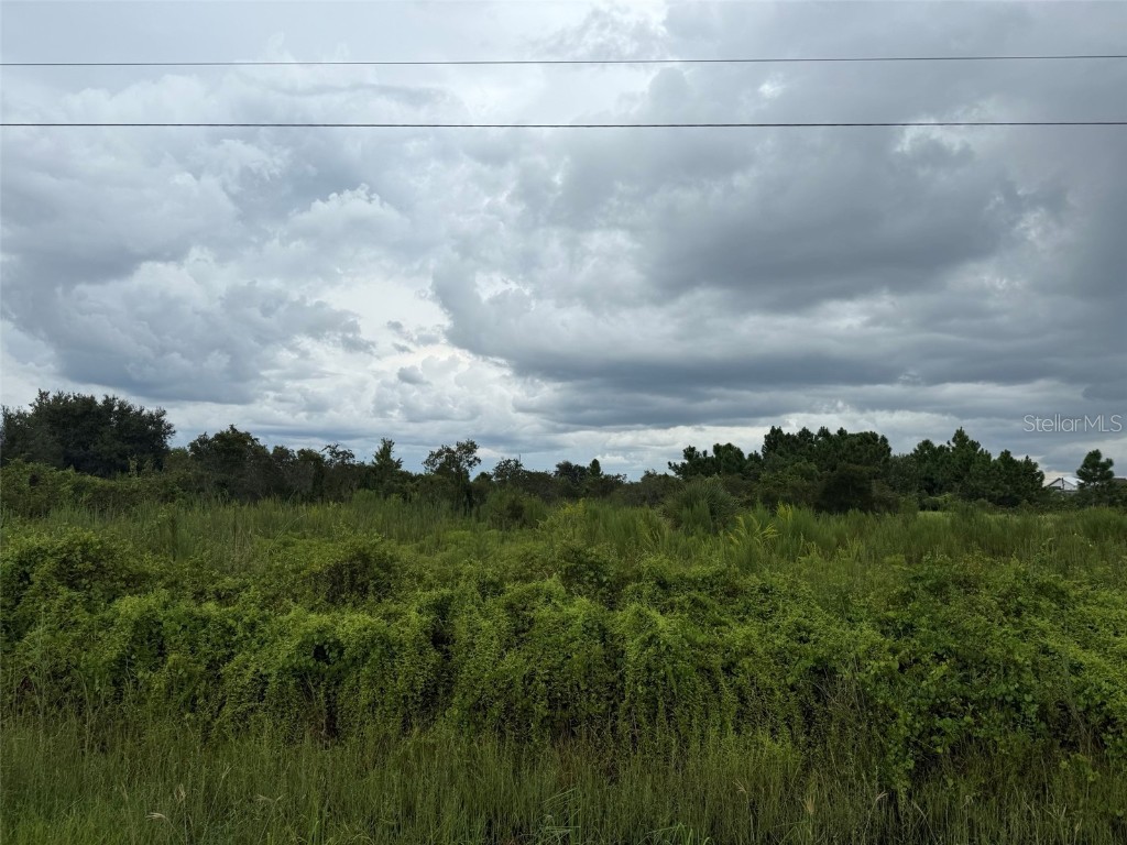 15361 NW 242nd Street Okeechobee FL 34972 OK225553 image1