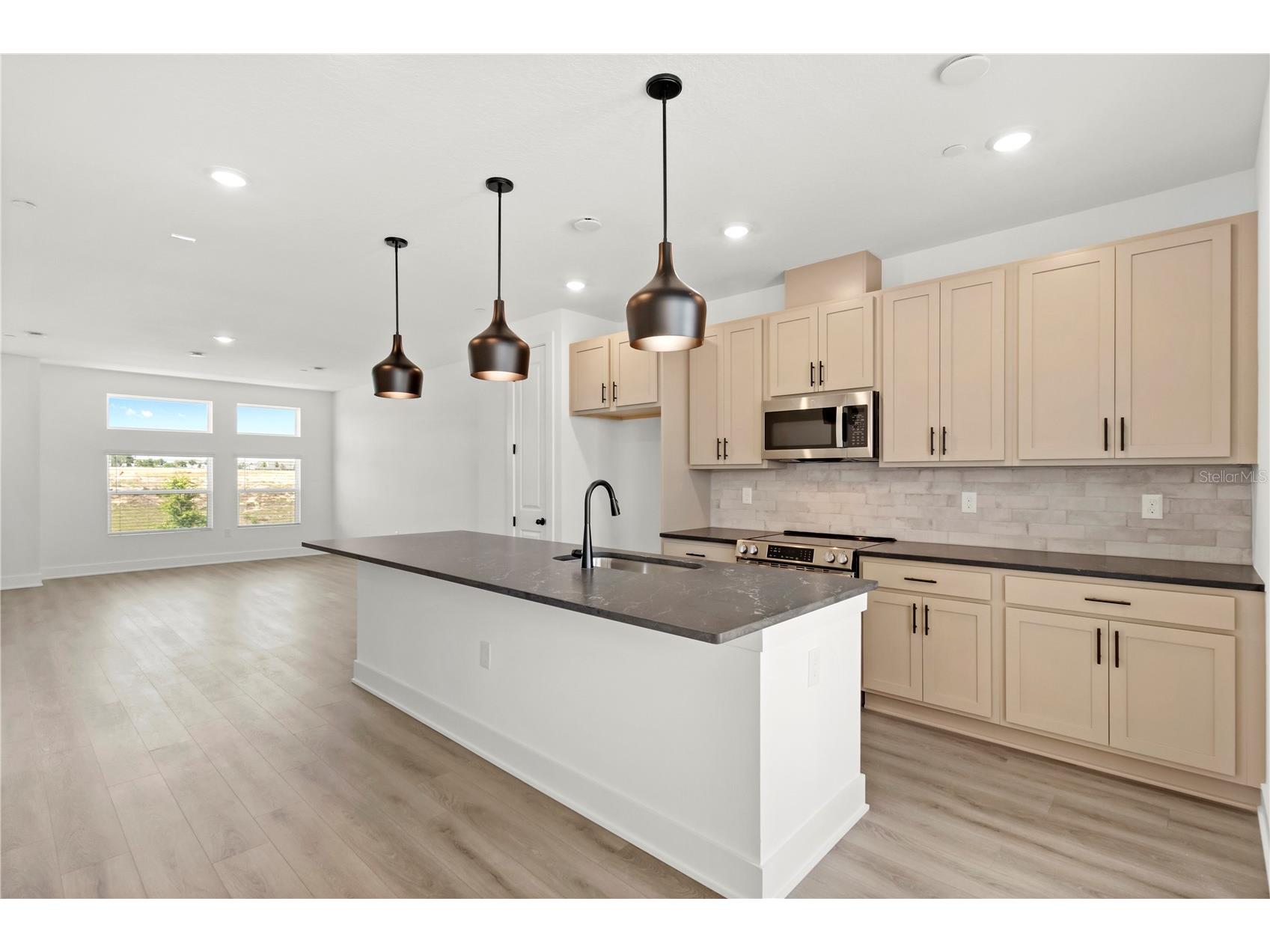 15363 Hamlin Park Drive Winter Garden FL 34787 O6401538 image12