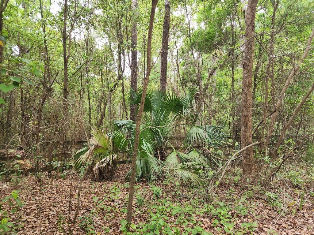 15363 SE 156th Place Road Weirsdale FL 32195 G5080103 image1