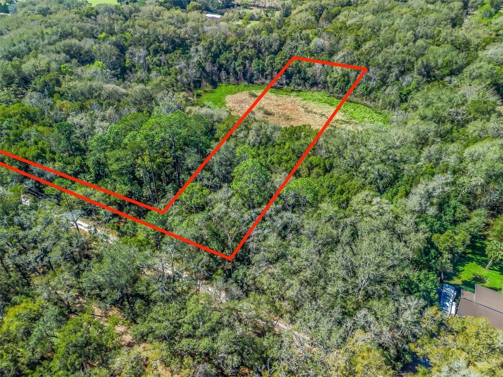 15363 SE 156th Place Road Weirsdale FL 32195 G5085398 image2