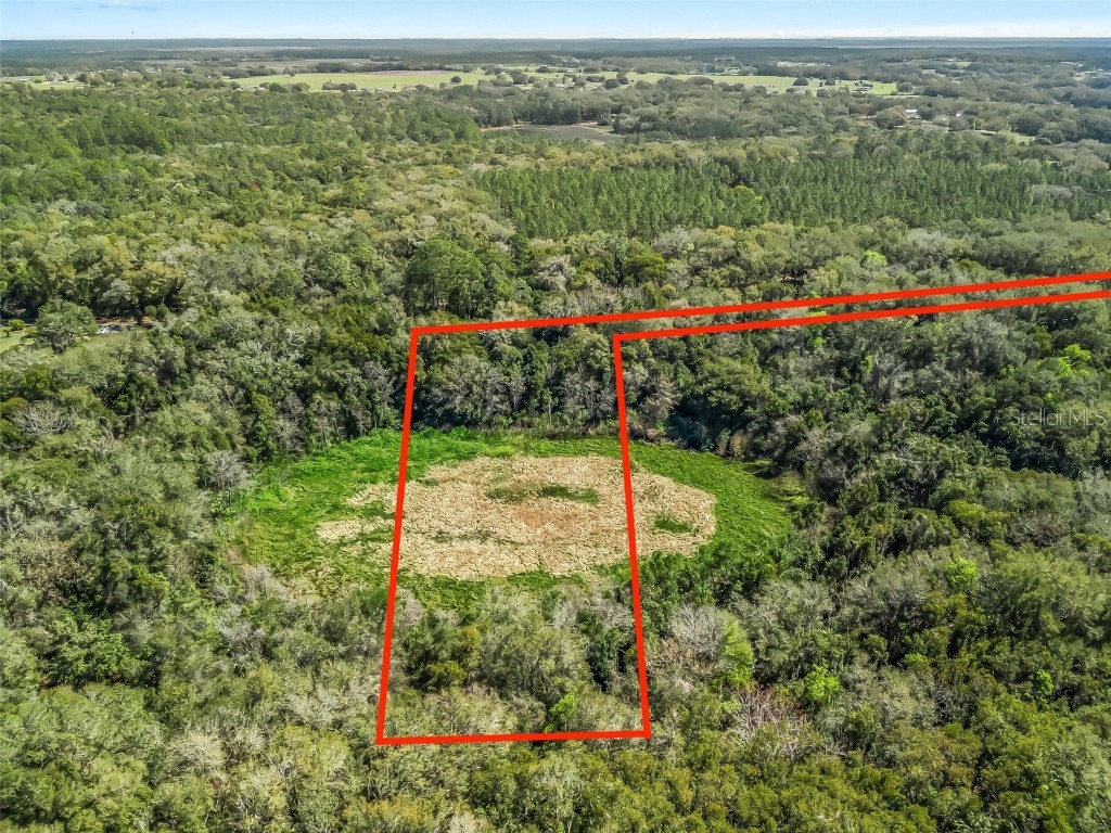 15363 SE 156th Place Road Weirsdale FL 32195 G5085398 image3