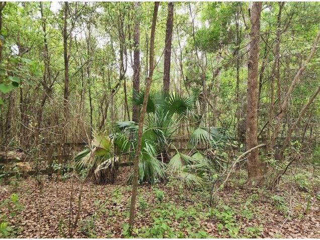 15363 SE 156th Place Road Weirsdale FL 32195 G5085398 image4