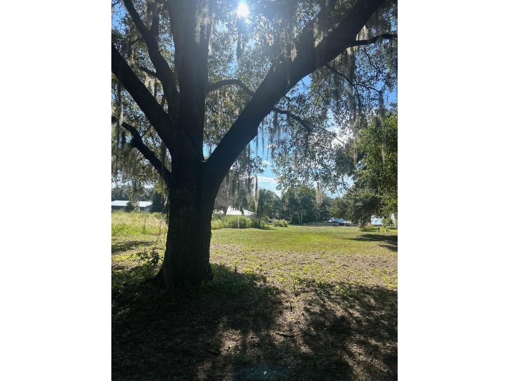 15365 SE 140th Avenue Road Weirsdale FL 32195 OM710192 image4