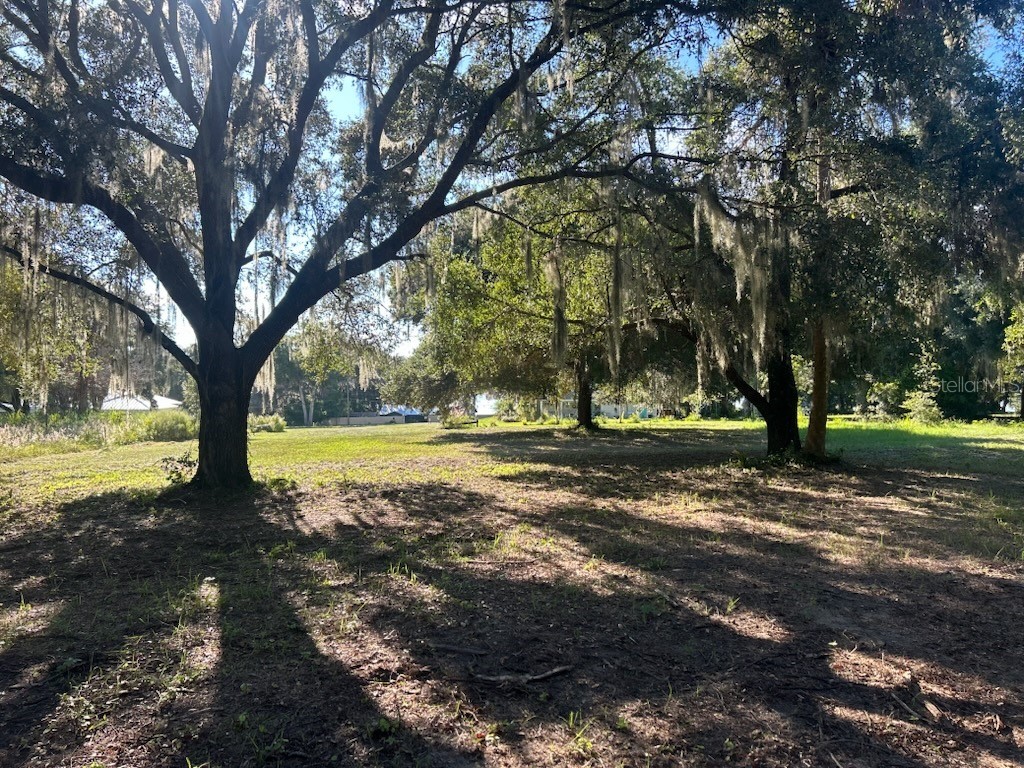 15365 SE 140th Avenue Road Weirsdale FL 32195 OM710192 image5