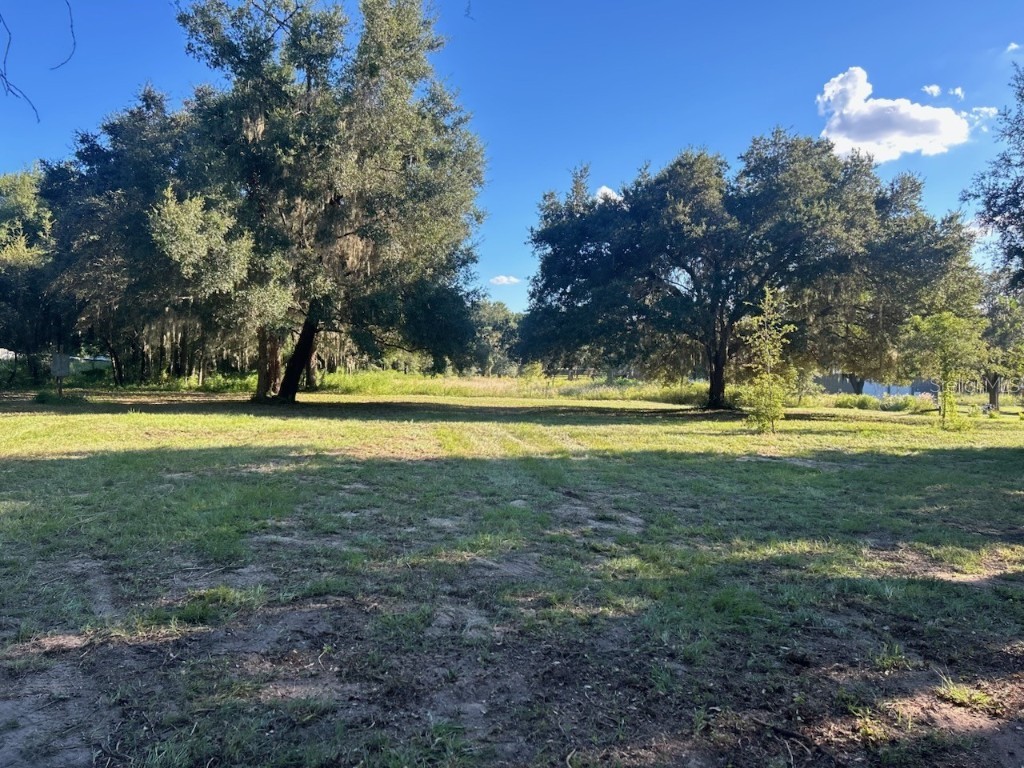 15365 SE 140th Avenue Road Weirsdale FL 32195 OM710192 image6