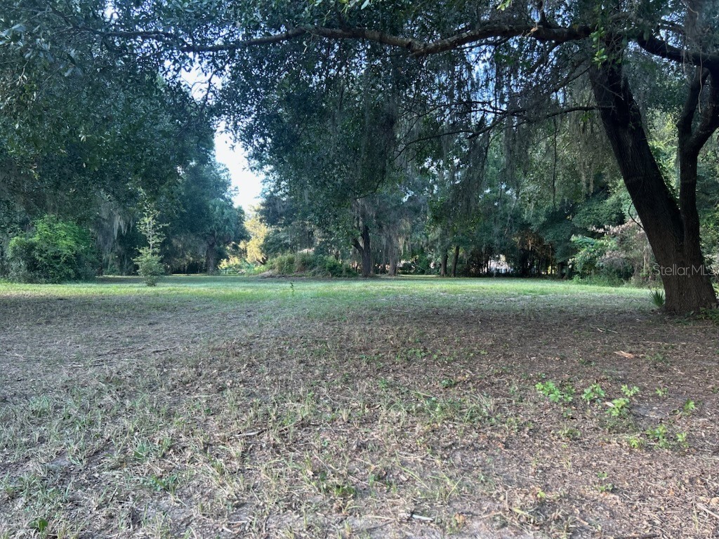 15365 SE 140th Avenue Road Weirsdale FL 32195 OM710192 image8