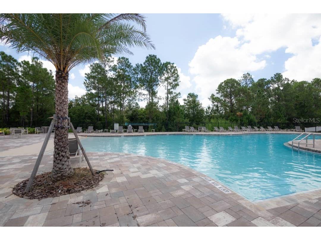 15367 Gilligan Court Winter Garden FL 34787 O6397119 image9
