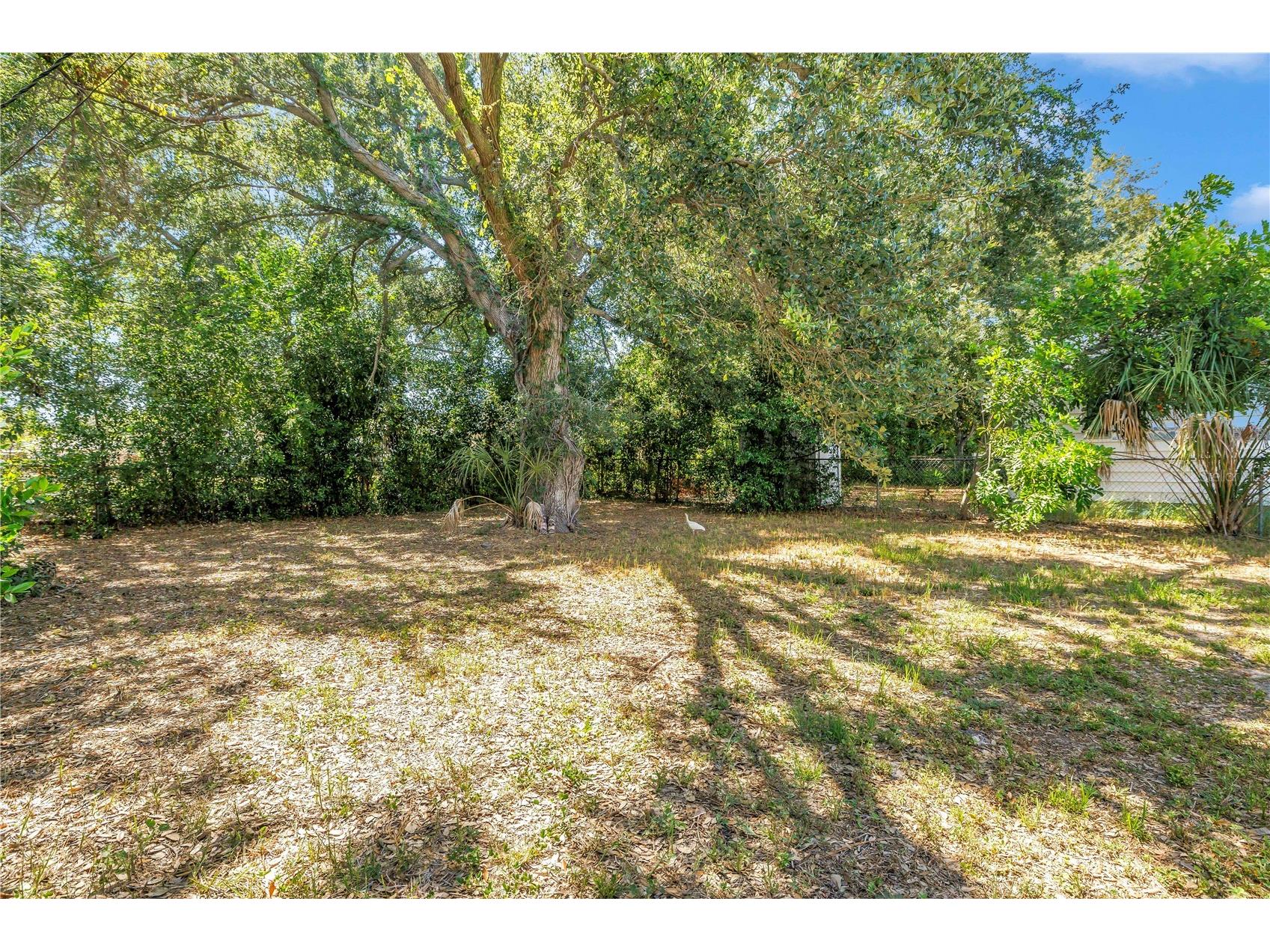 1537 39th Street S Saint Petersburg FL 33711 TB8522917 image35