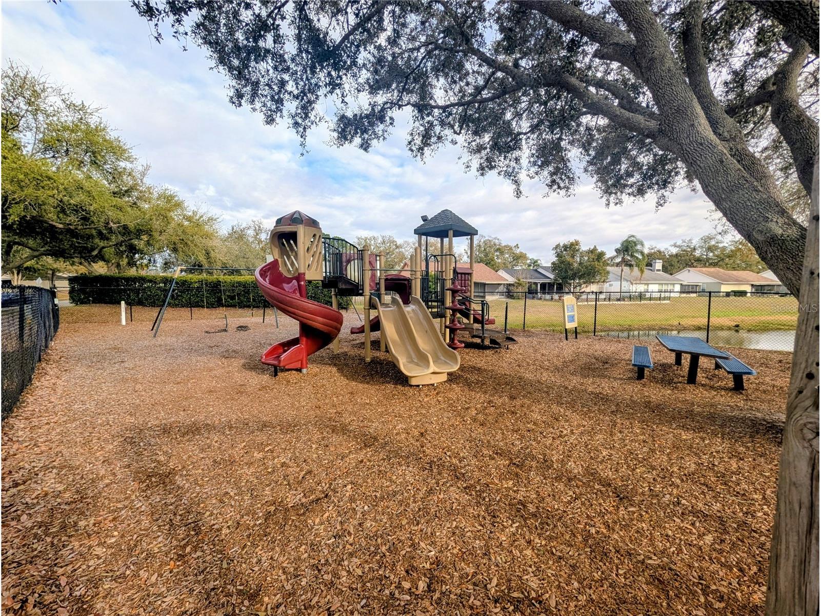 1537 Gunsmith Drive Lutz FL 33559 TB8480342 image22