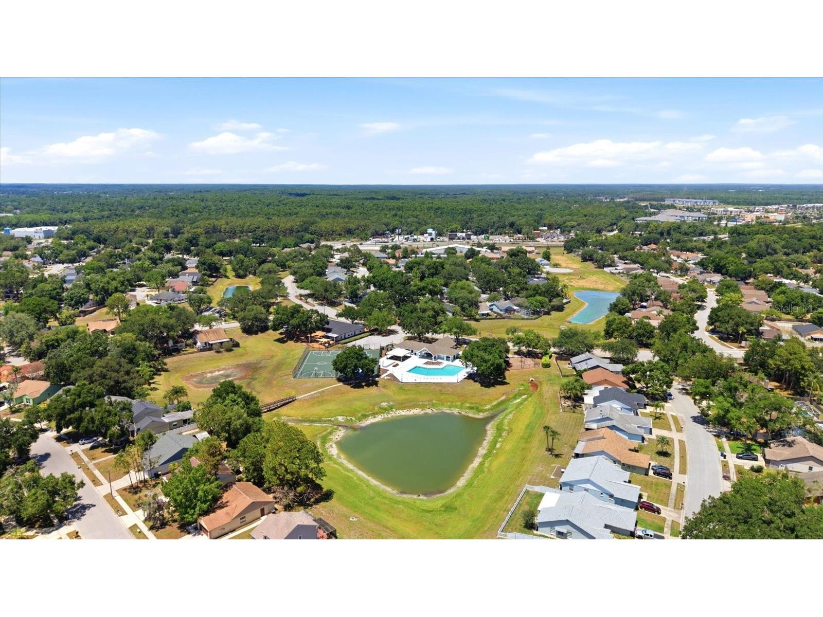 1537 Gunsmith Drive Lutz FL 33559 TB8480342 image32