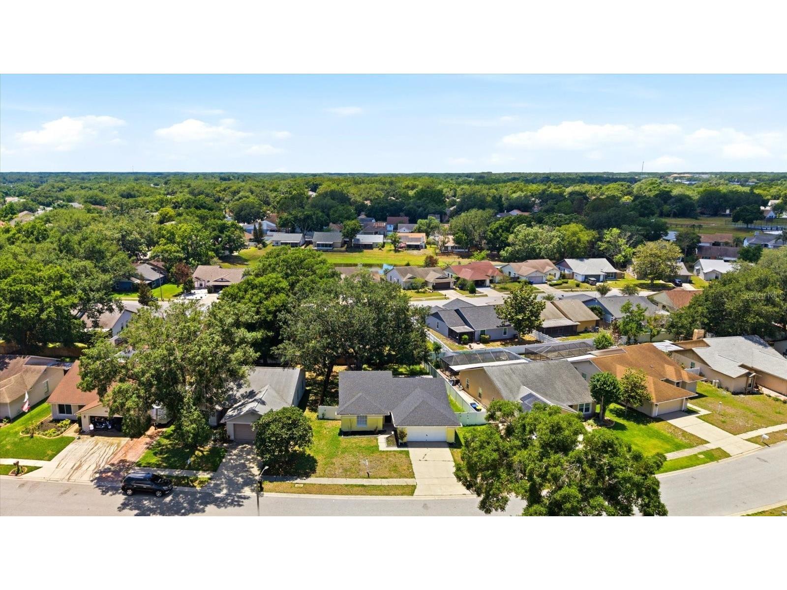 1537 Gunsmith Drive Lutz FL 33559 TB8480342 image34
