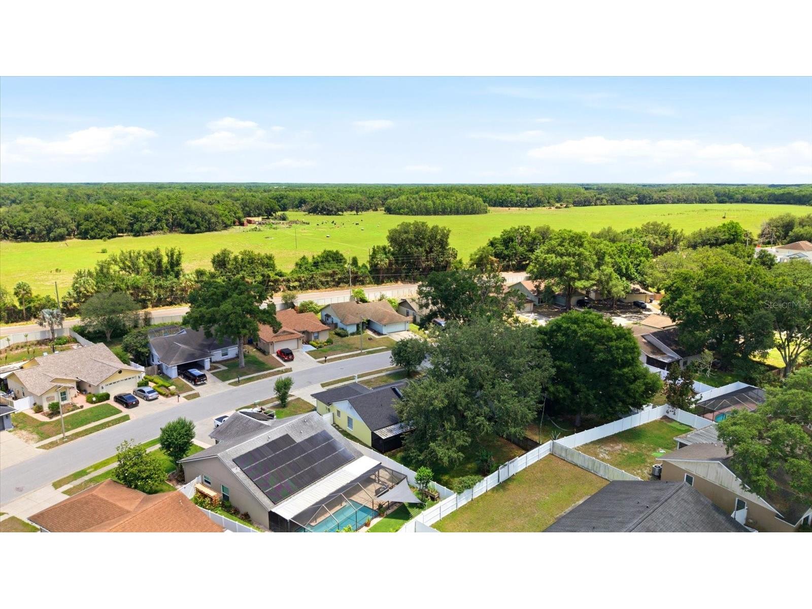 1537 Gunsmith Drive Lutz FL 33559 TB8480342 image36