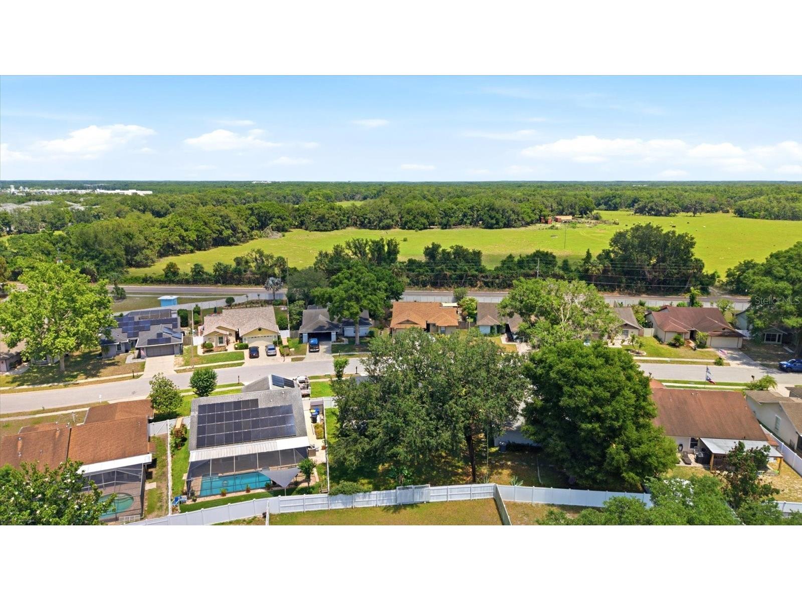 1537 Gunsmith Drive Lutz FL 33559 TB8480342 image37