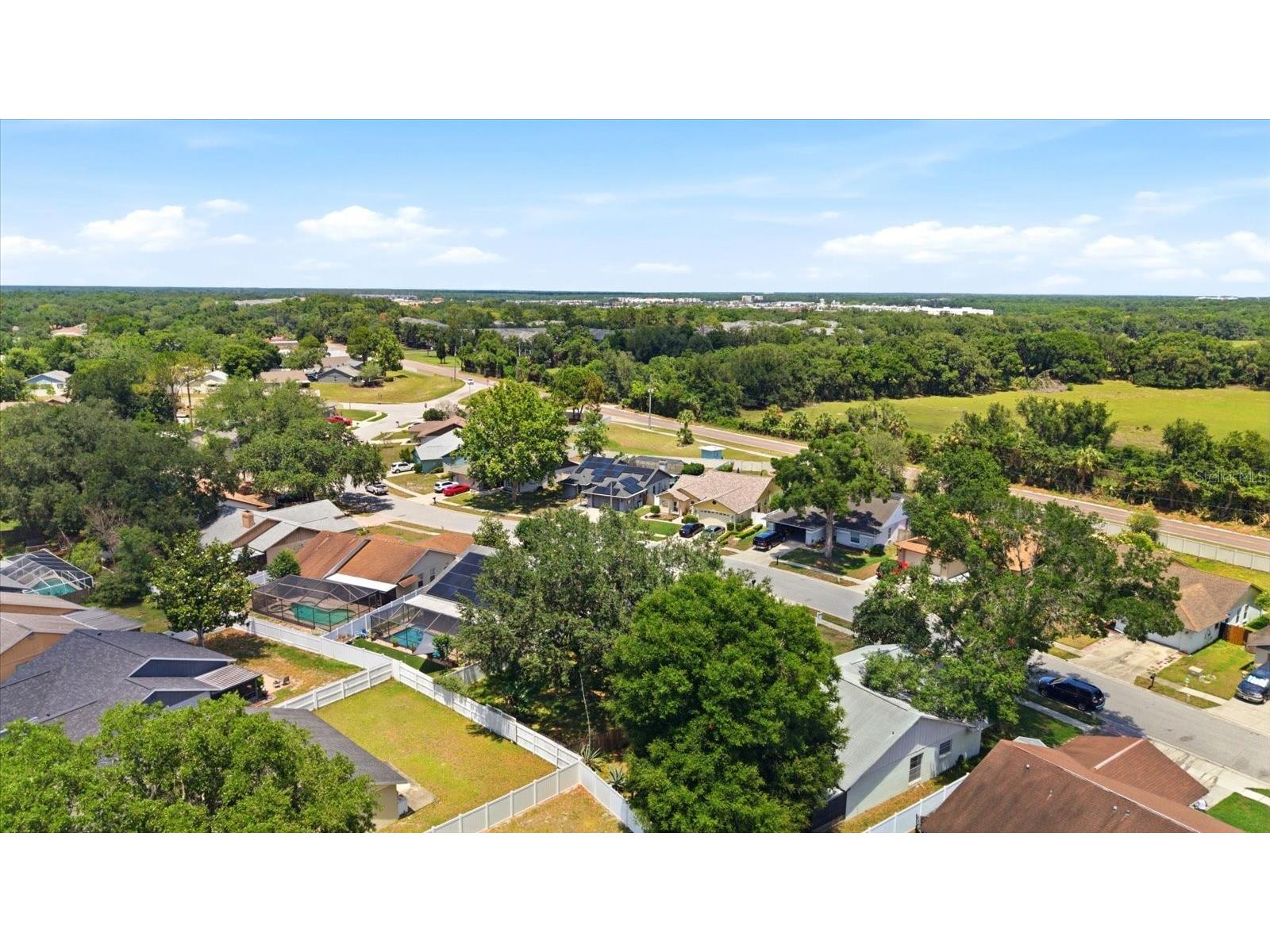 1537 Gunsmith Drive Lutz FL 33559 TB8480342 image38