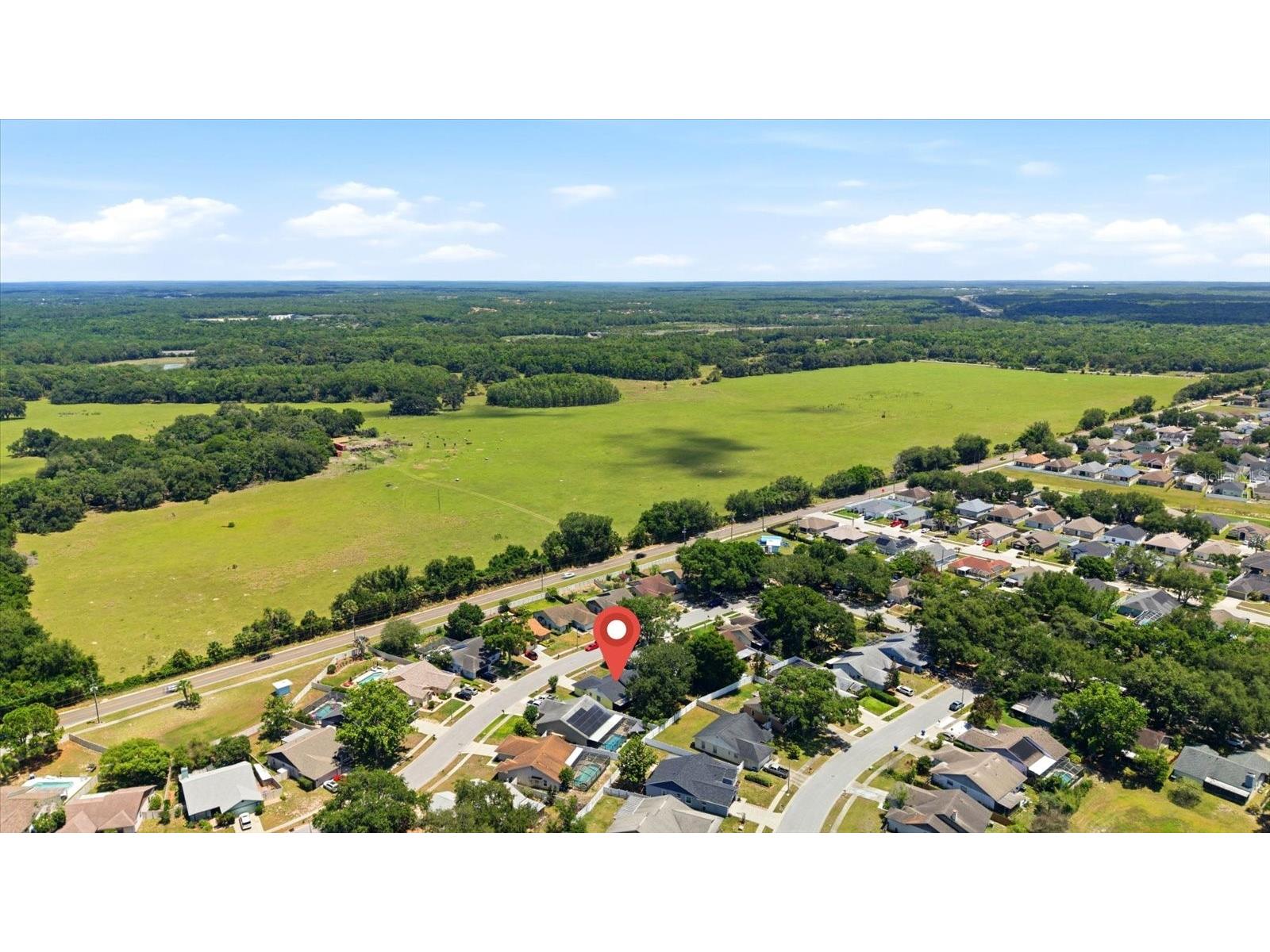 1537 Gunsmith Drive Lutz FL 33559 TB8480342 image40