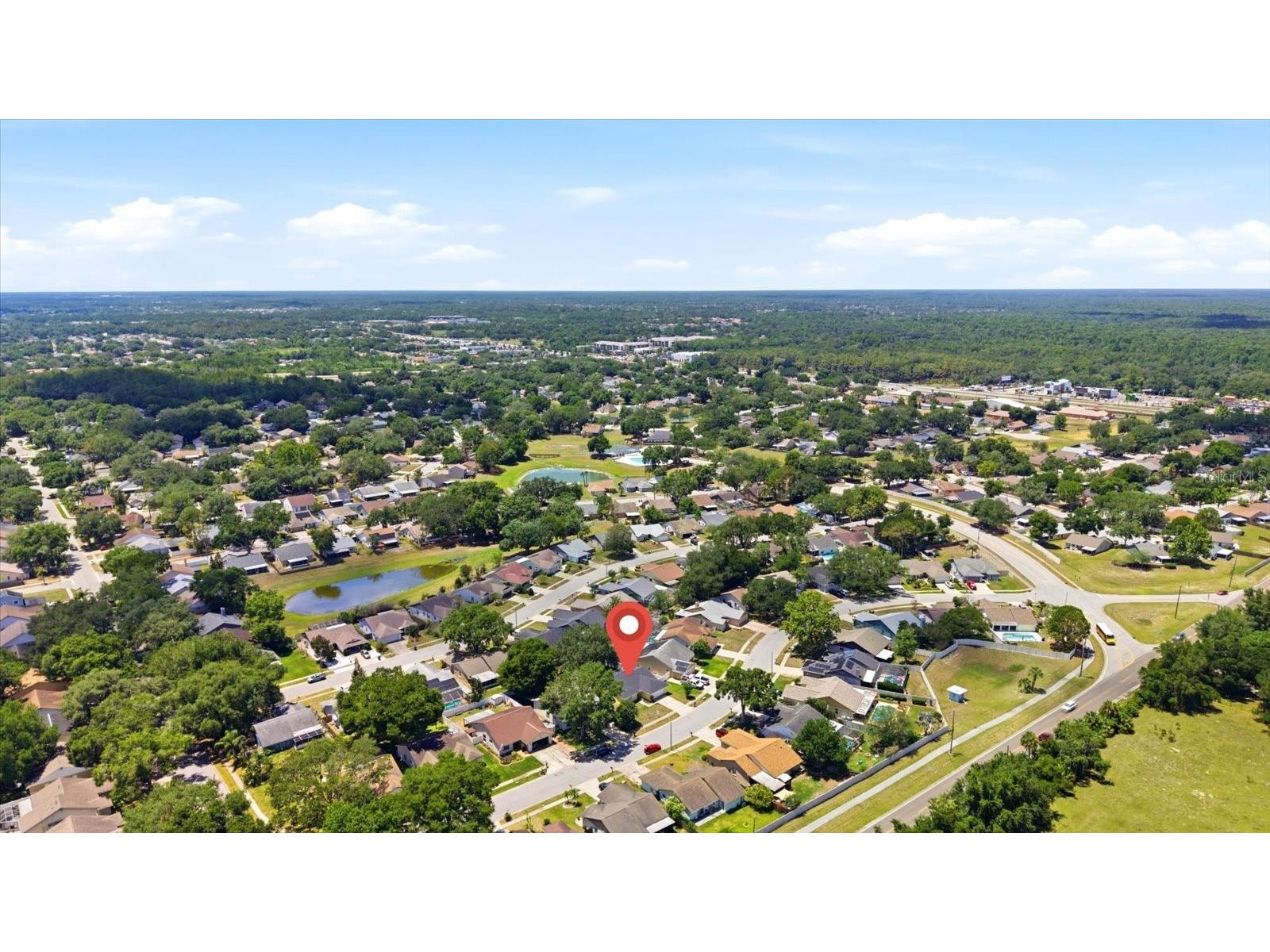 1537 Gunsmith Drive Lutz FL 33559 TB8480342 image42