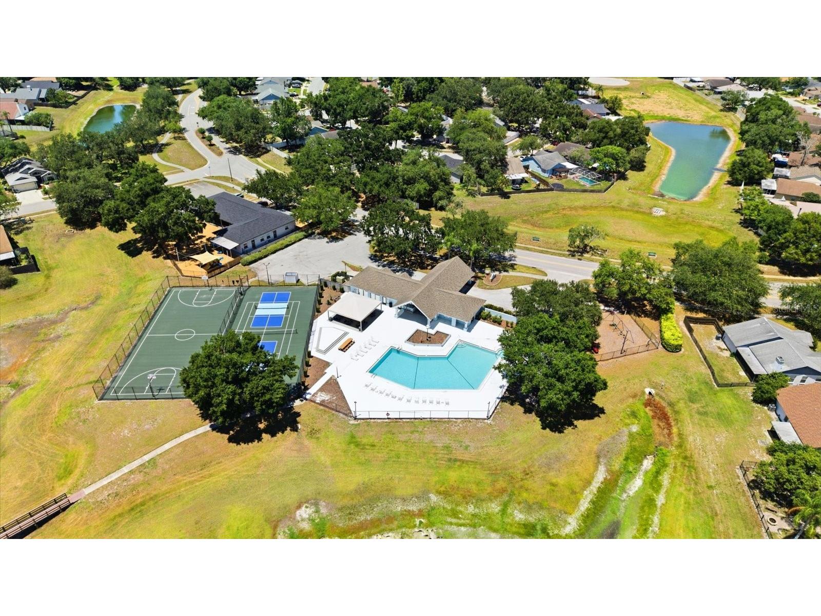 1537 Gunsmith Drive Lutz FL 33559 TB8480342 image43