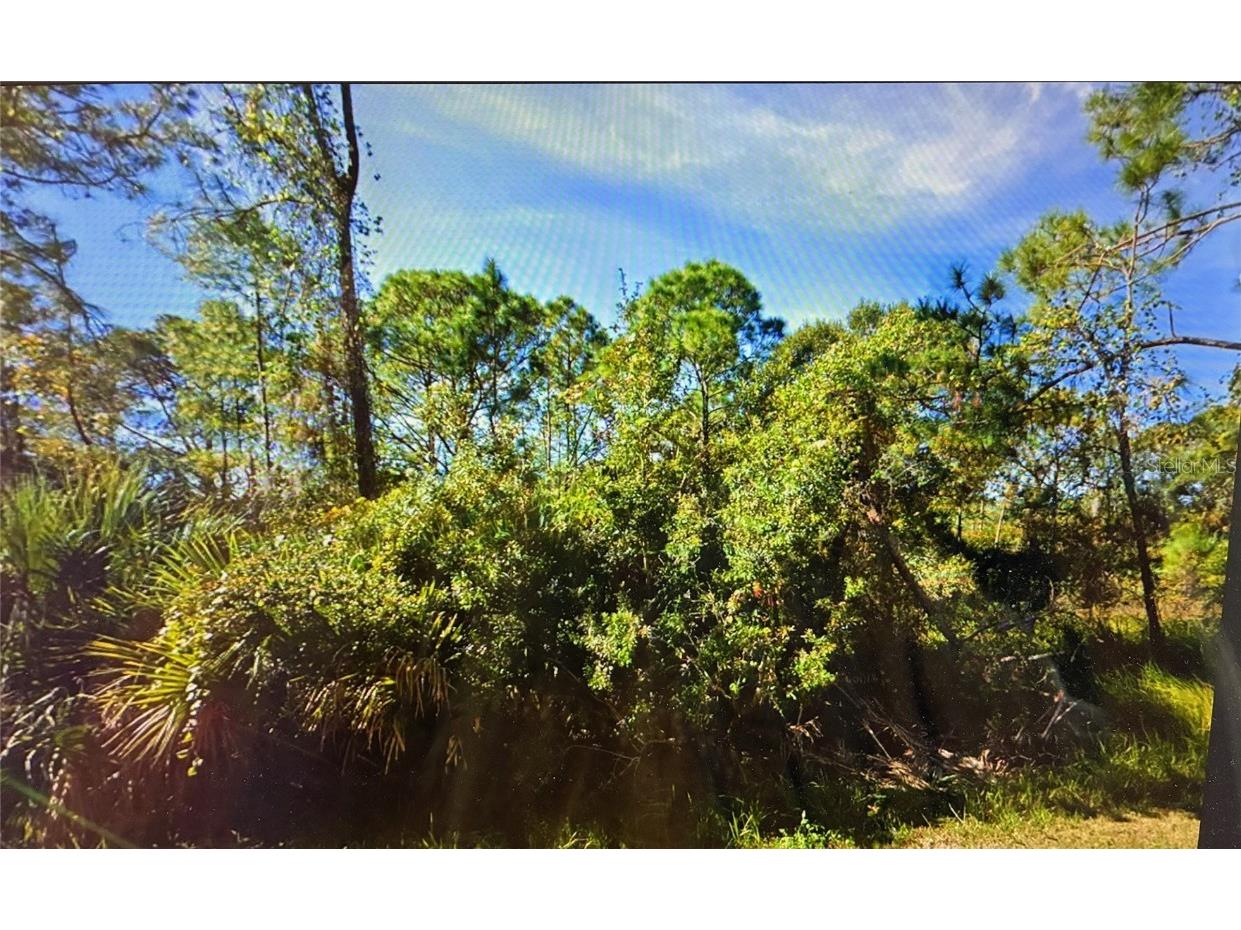 1537 Marlin Drive Kissimmee FL 34759 O6364668 image1