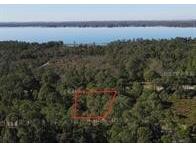 1537 Marlin Drive Kissimmee FL 34759 O6364668 image3