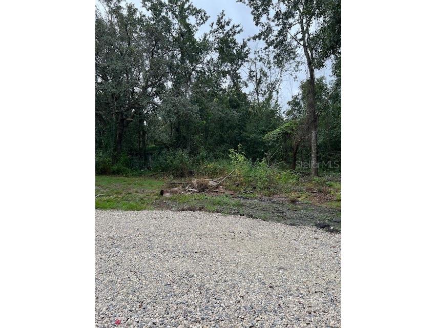 1537 Poe Road Lake Wales FL 33898 TB8426967 image6