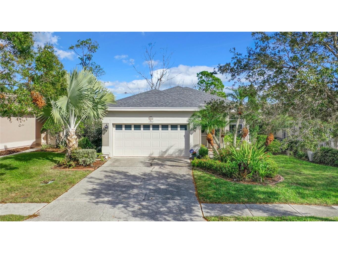 1537 Riverdale Drive Oldsmar FL 34677 U8225257 image1