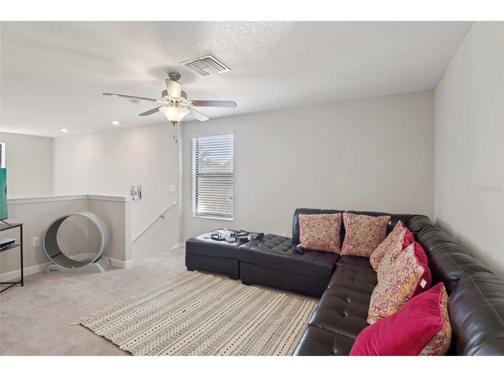 1537 Tallulah Terrace Wesley Chapel FL 33543 TB8474900 image18
