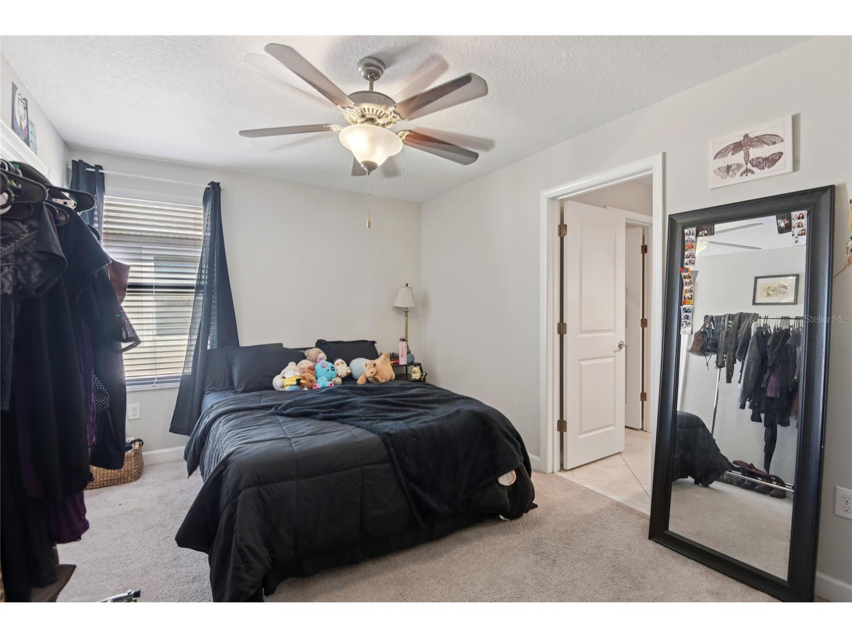1537 Tallulah Terrace Wesley Chapel FL 33543 TB8474900 image23