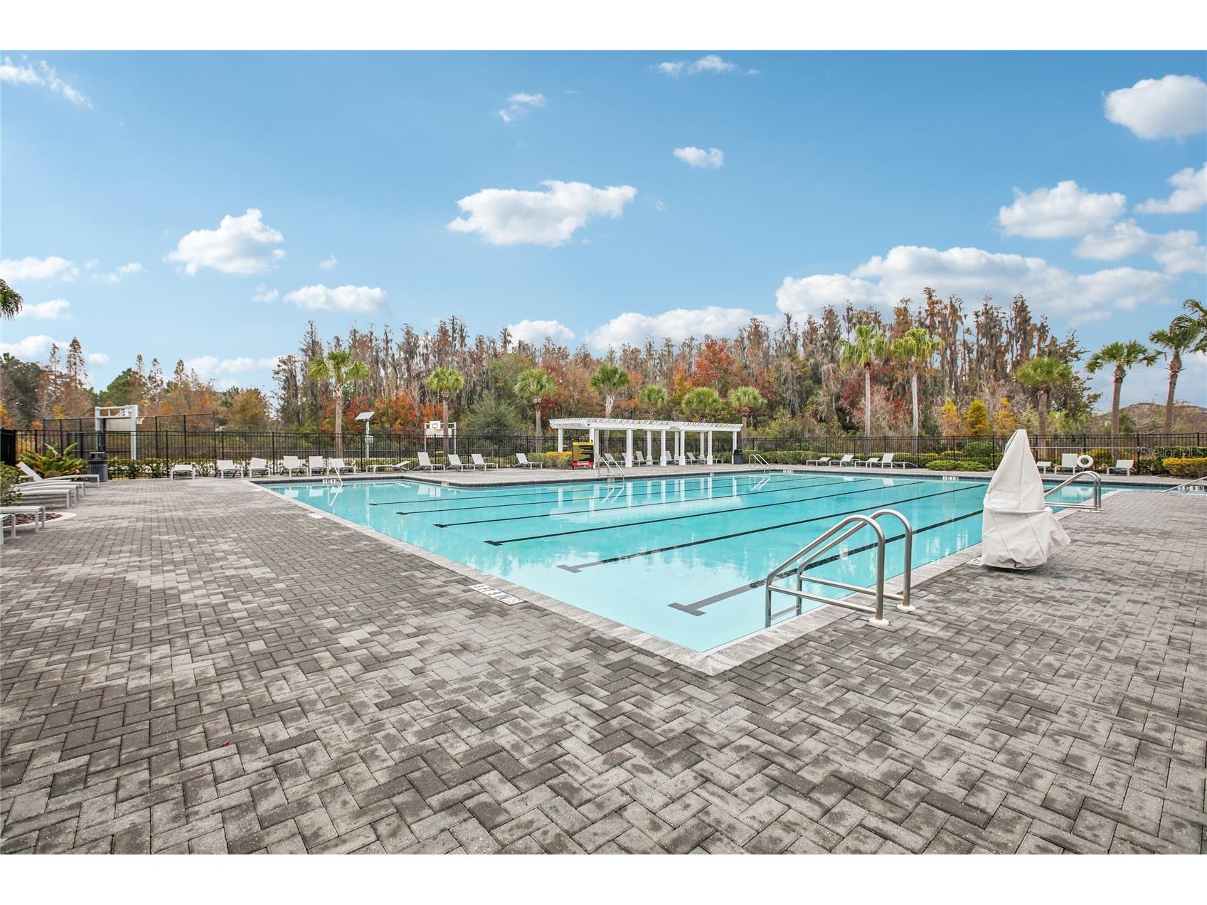 1537 Tallulah Terrace Wesley Chapel FL 33543 TB8474900 image45