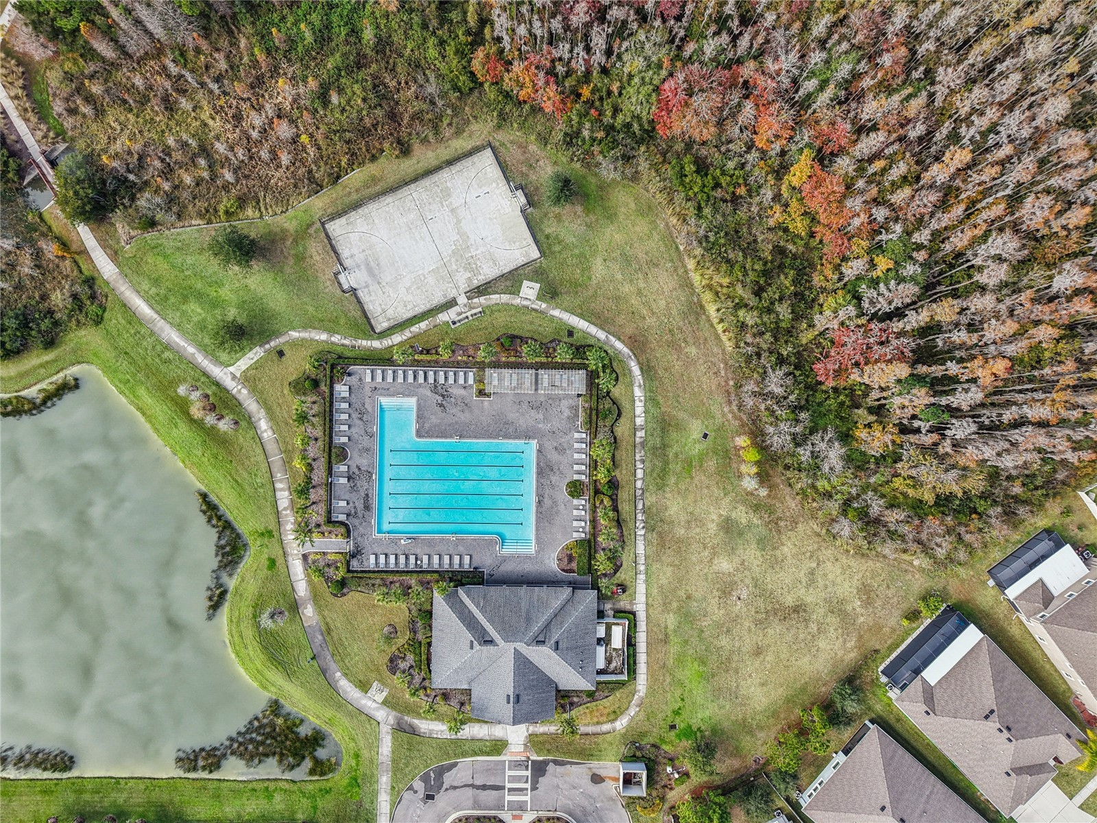 1537 Tallulah Terrace Wesley Chapel FL 33543 TB8474900 image49