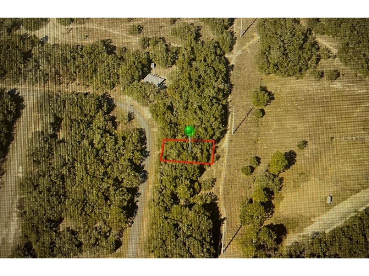 1537 W Magenta Drive Citrus Springs FL 34434 OM661875 image1