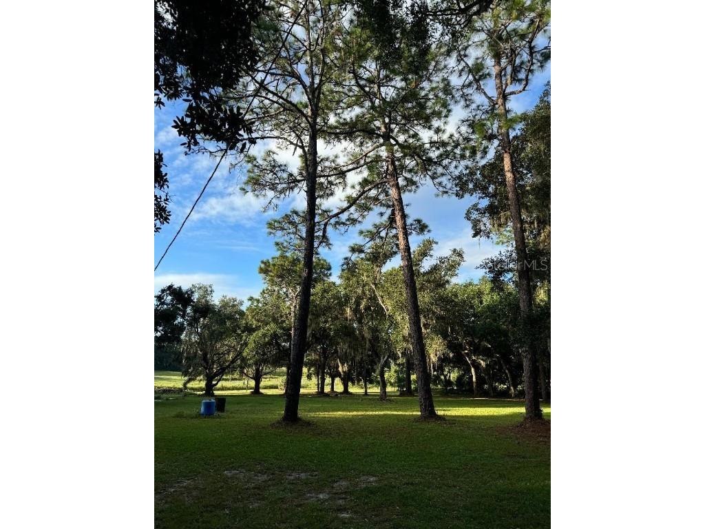 15370 SE 156th Place Road Weirsdale FL 32195 TB8330321 image1