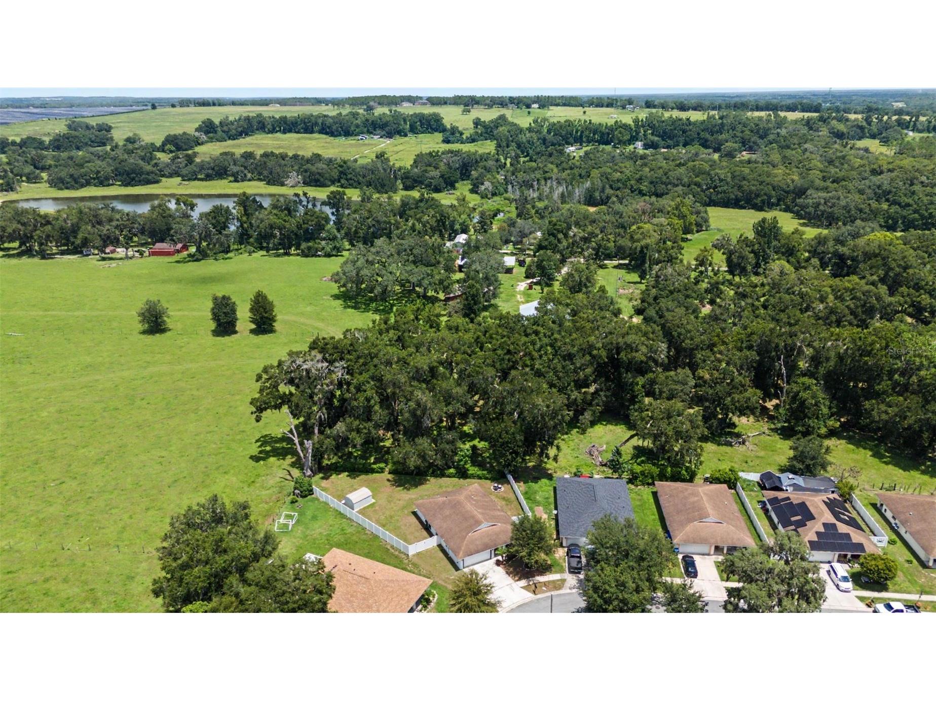 15373 Callista Lane Dade City FL 33523 W7887926 image41