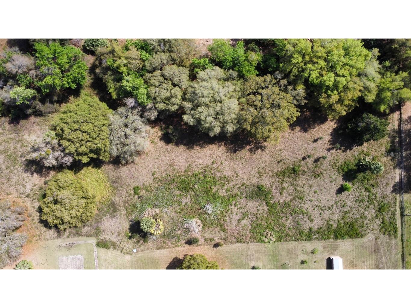 15373 SE 140th Avenue Road Weirsdale FL 32195 G5079066 image1