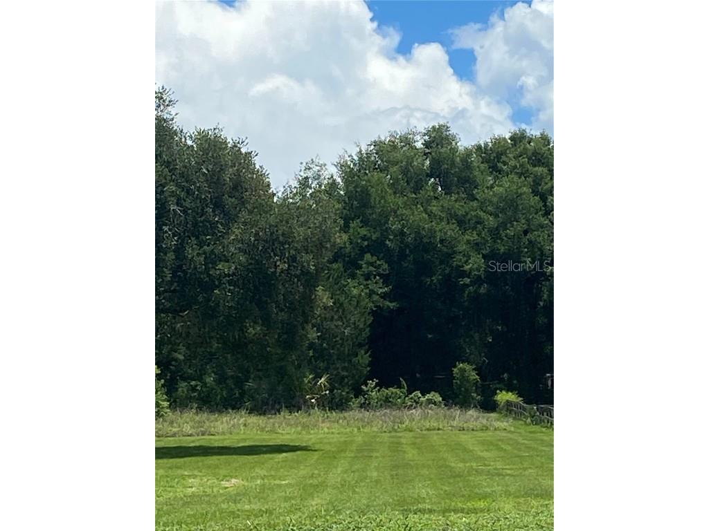 15373 SE 140th Avenue Road Weirsdale FL 32195 OM659339 image1