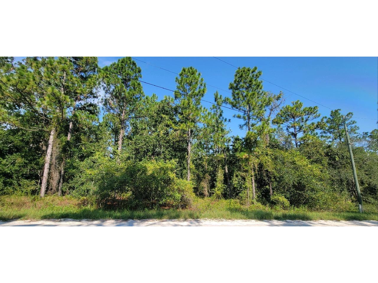 15375 Coot Road Brooksville FL 34614 W7867474 image1