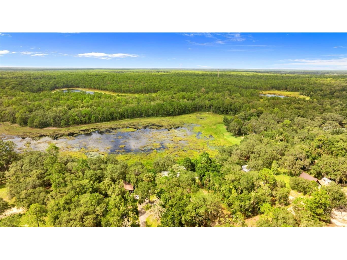 15375 SE 64th Place Ocklawaha FL 32179 O6351240 image31