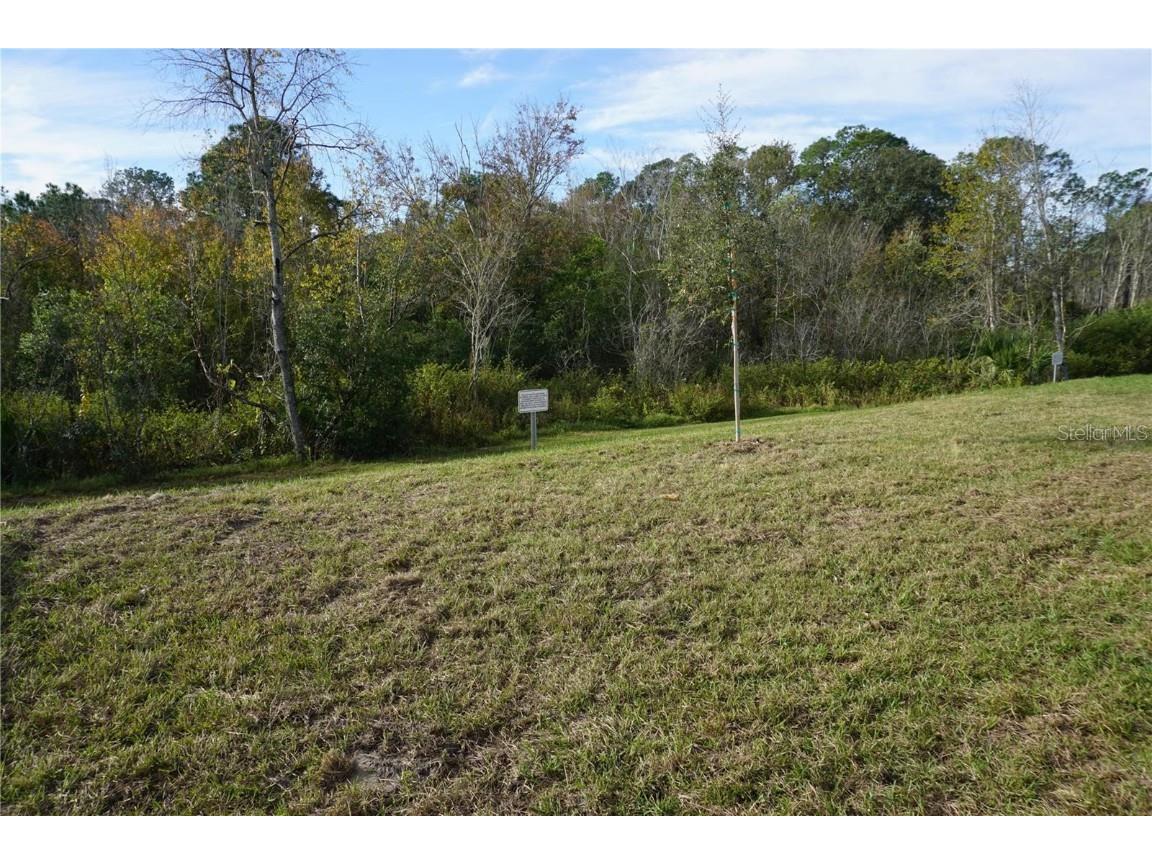 1538 Blue Lagoon Circle Mascotte FL 34753 O6364685 image18