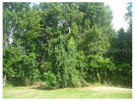 1538 Buck Street Lake Placid FL 33852 O4751219 image1