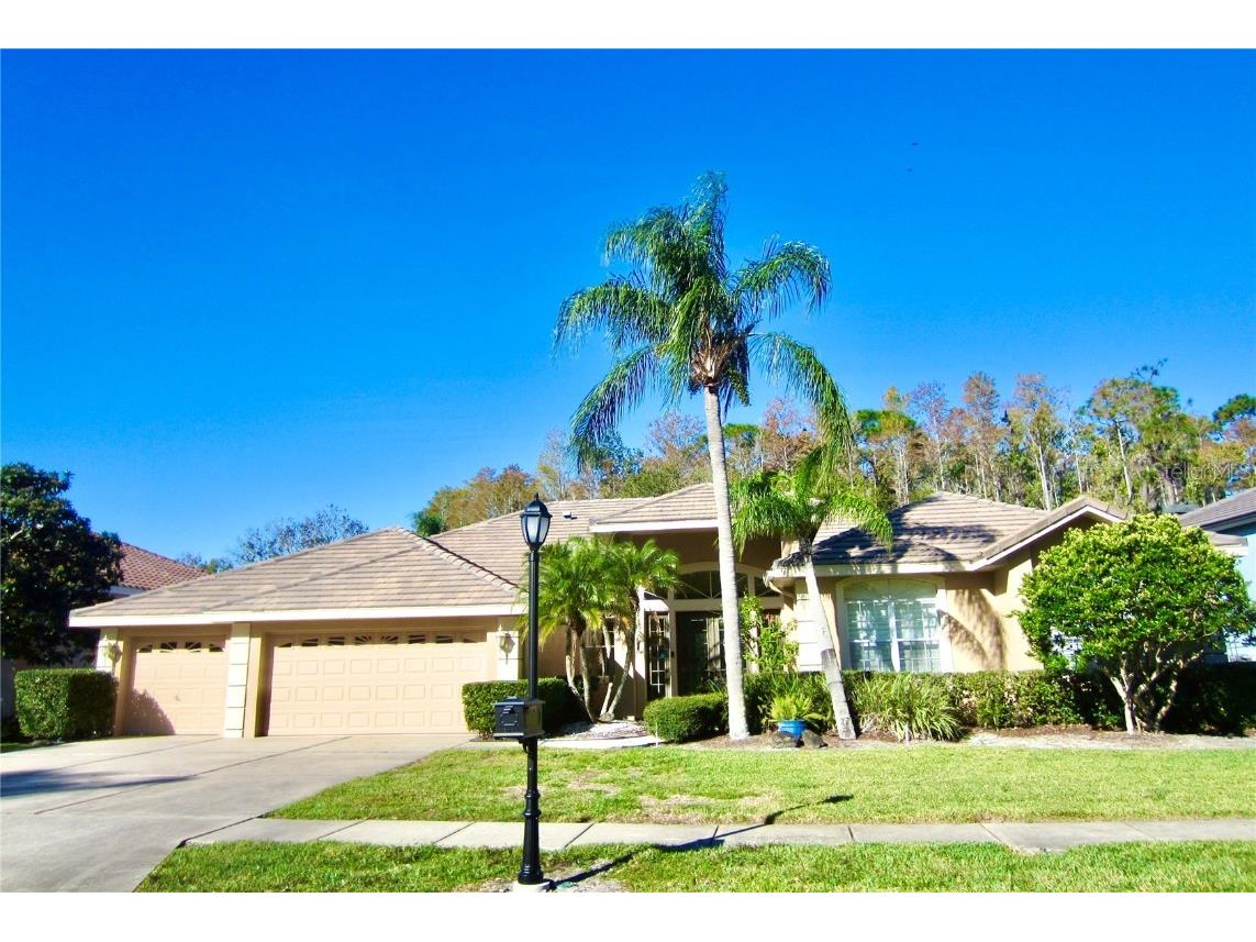 1538 Lockmeade Place Oldsmar FL 34677 U8211974 image1