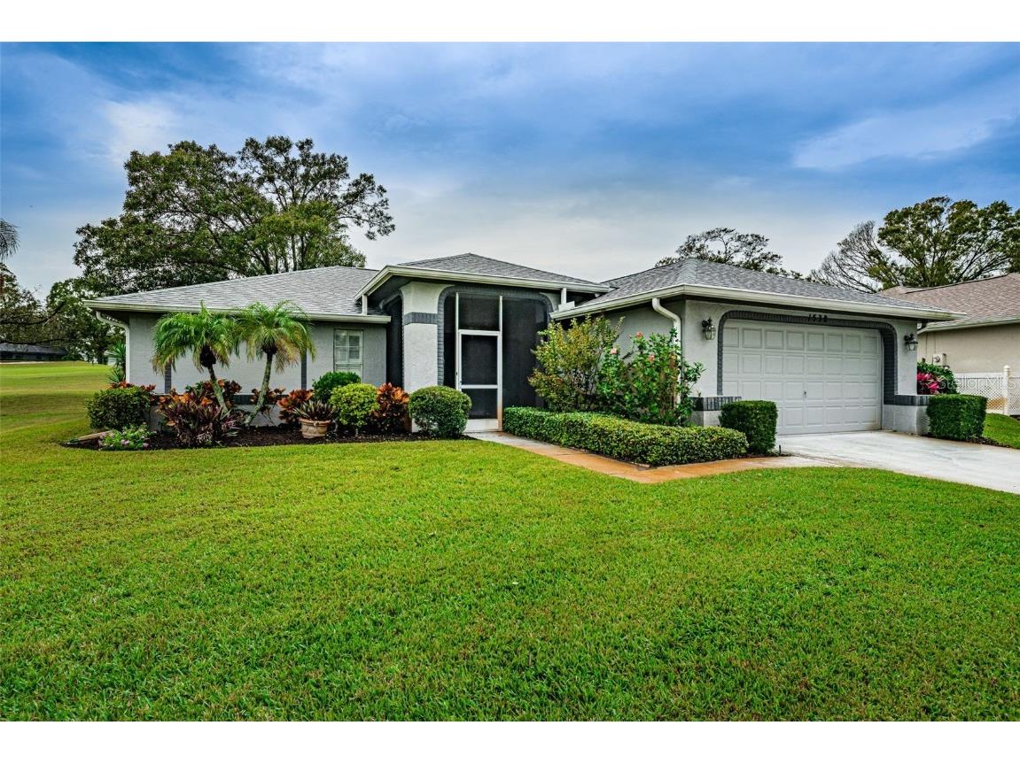 1538 Wicklow Drive Palm Harbor FL 34684 U8185366 image1