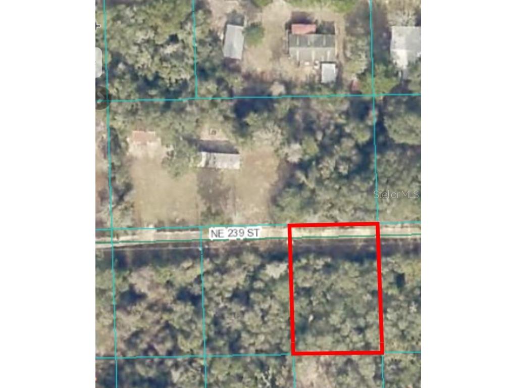 15380 NE 239th Street #LOT 25 Fort Mc Coy FL 32134 OM678740 image1