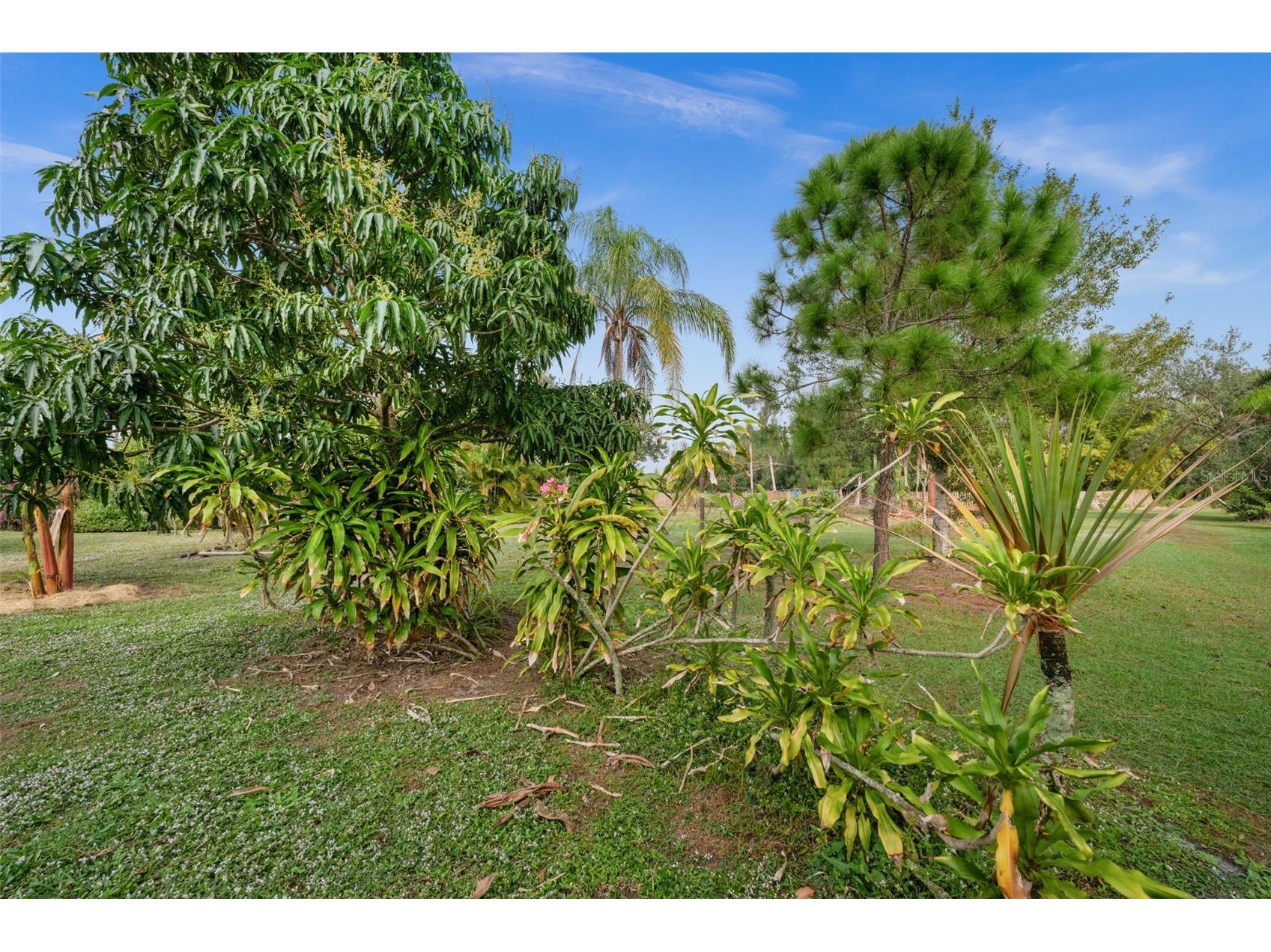 15380 Sunkist Drive Punta Gorda FL 33955 C7519306 image43