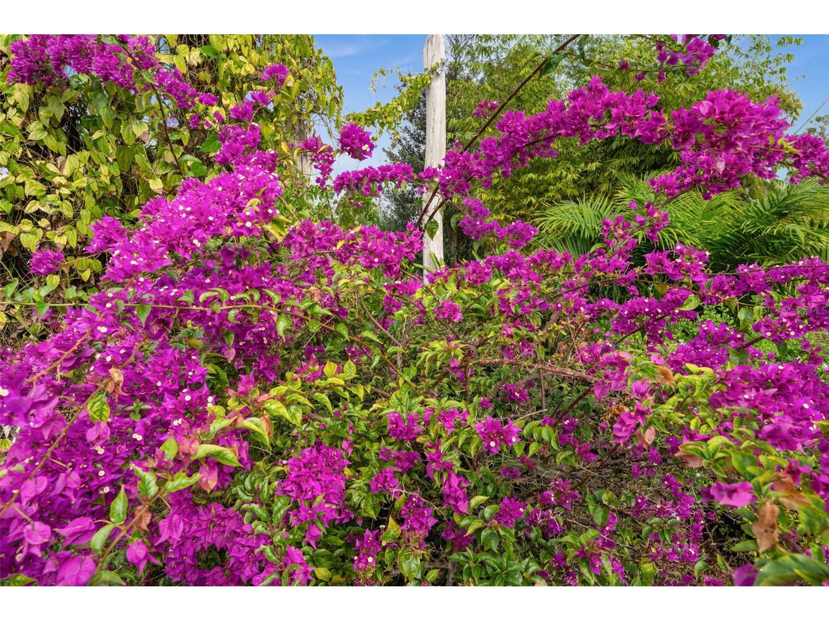 15380 Sunkist Drive Punta Gorda FL 33955 C7519306 image48