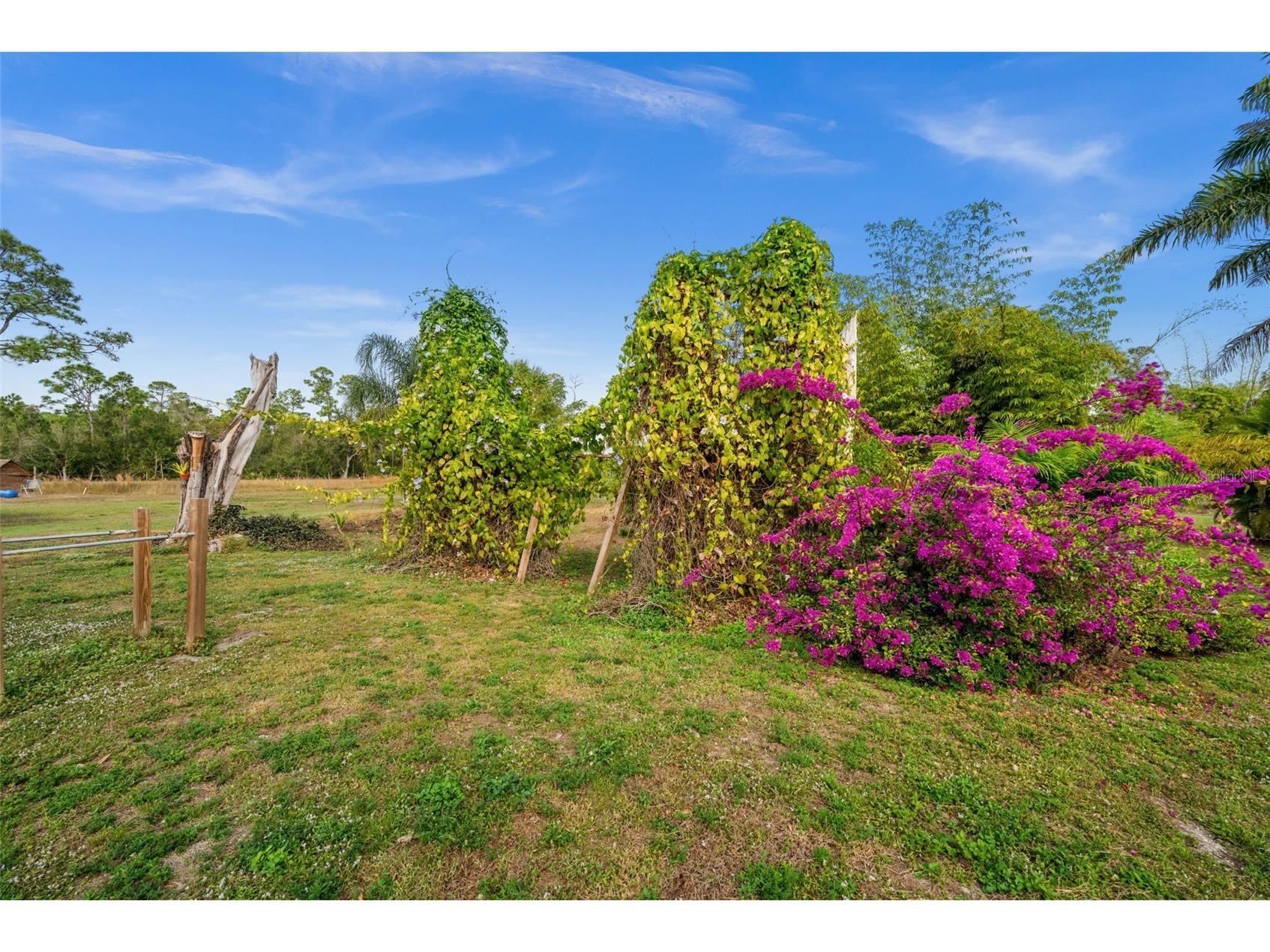 15380 Sunkist Drive Punta Gorda FL 33955 C7519306 image52