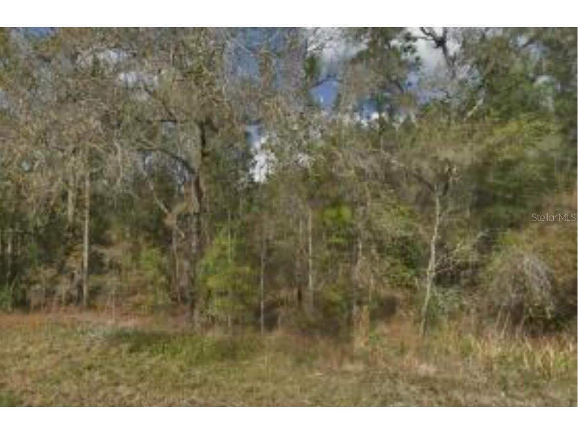 15389 Spring Hill Drive Brooksville FL 34604 W7877622 image3